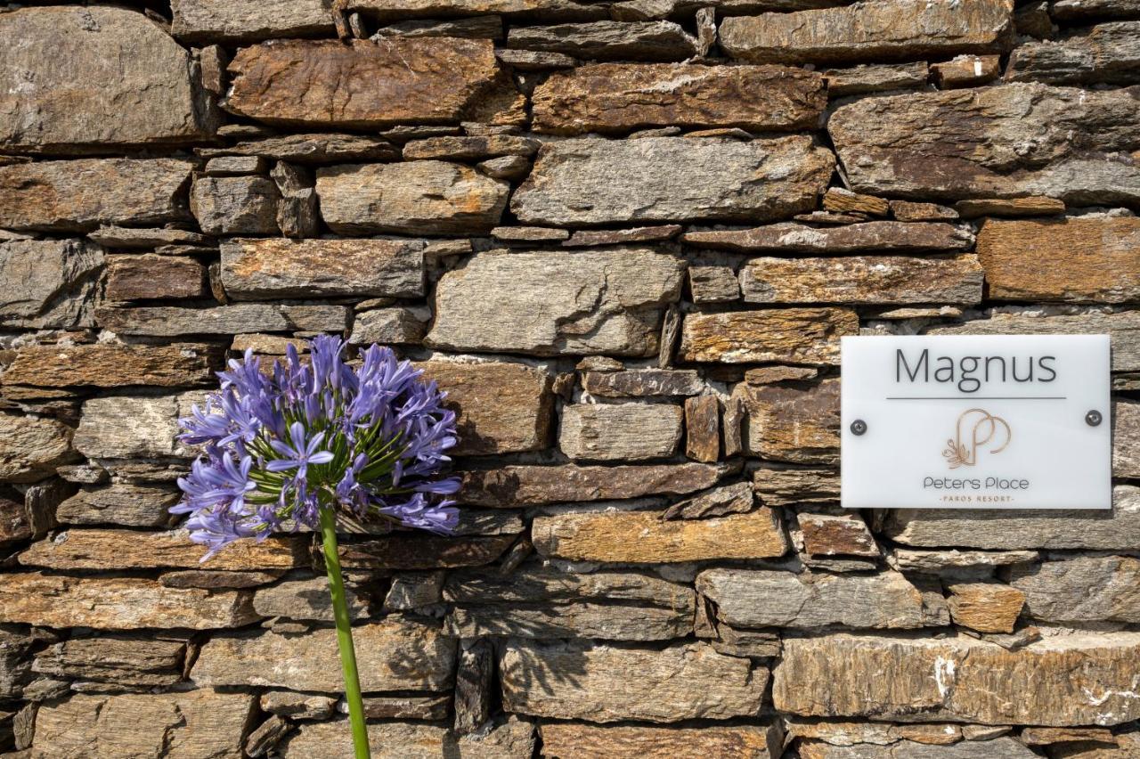 Peters Place - Paros Resort Parasporos Екстер'єр фото